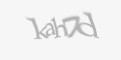 Защитный код